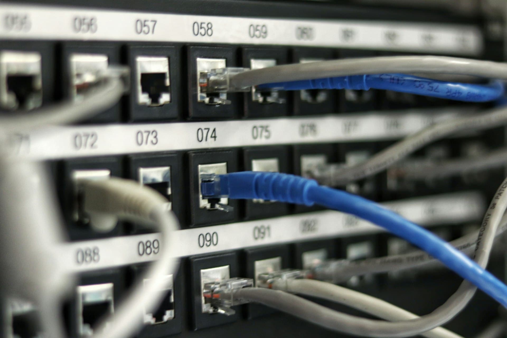Detalle macro de un patch panel con cables de red azules conectados